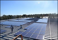 广西宾州光伏施工现场