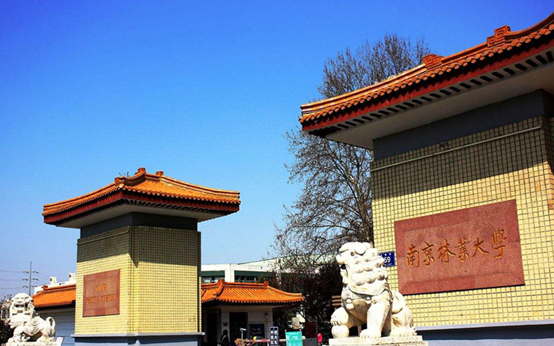 南京林业大学